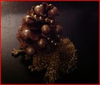 Pigne di Natale